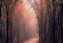 [CBA]常规赛3月26日：北控VS辽宁 廖三宁集锦.