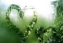 国足一月开启海口集训 重点先抓定位球防守.