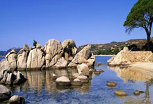 [CBA]常规赛3月15日：山西VS青岛 杨瀚森集锦.